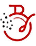 Logo Berkha